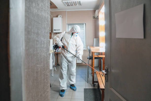 Trusted South Pasadena, FL Mold Removal Experts